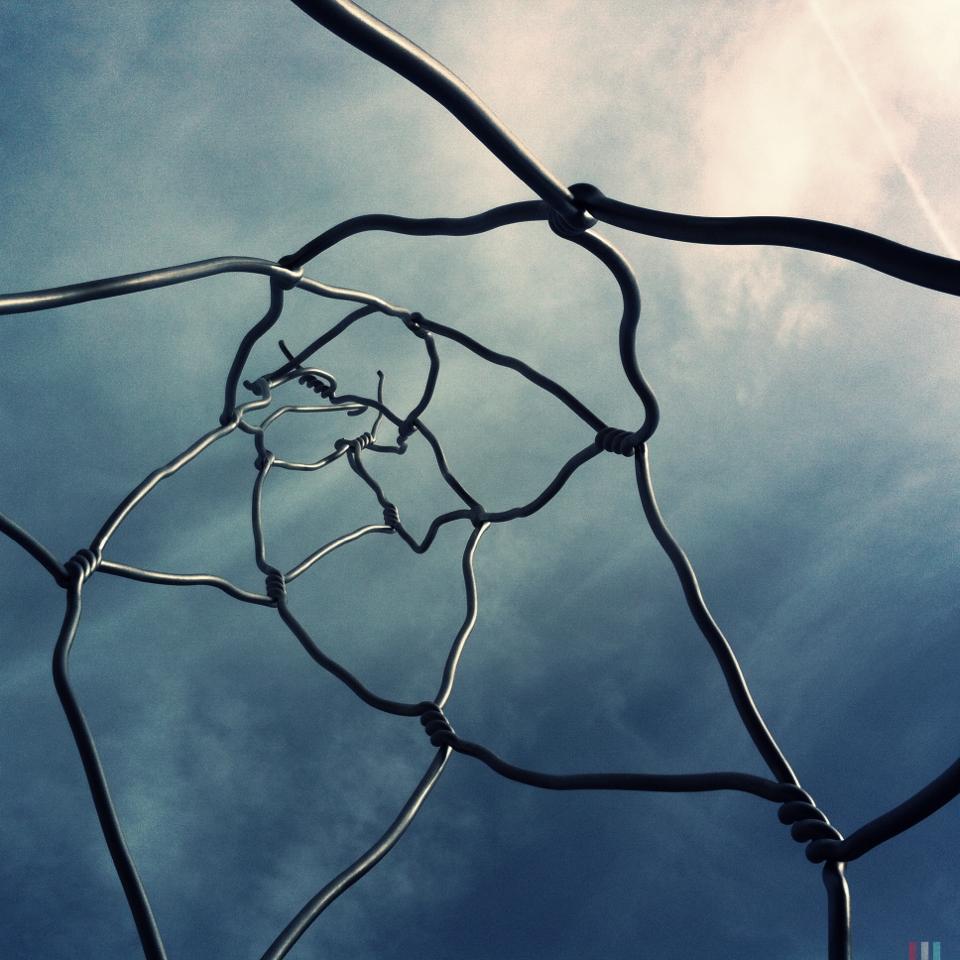 Vision photography - Image 14